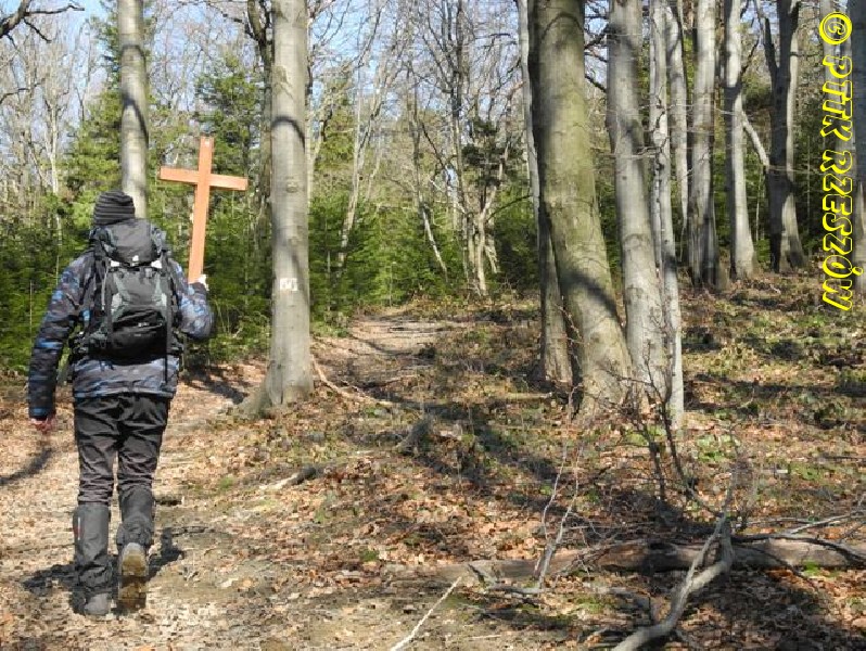 2022.04.15 Droga Krzyżowa - KP(archiwum)